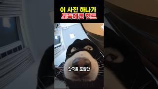 이 사진 하나가 도둑에겐 힌트.