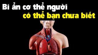 Những bí ẩn khó tin về chính cơ thể của bạn