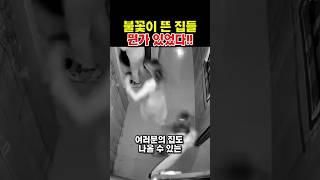 일본의 사건지도, 한국 집도 표시됐습니다.