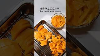 #애플망고손질#망고자르는법#애플망고 먹는 법