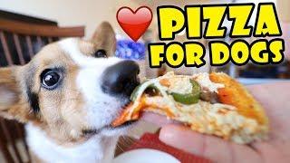 CORGI Trying Homemade Pizza (Dog-Friendly Gourmet) || Life After College: Ep. 595