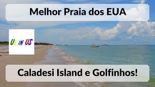 Praias nos EUA - Parte 1 - Golfinhos e a melhor praia dos EUA!