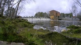 Wiggins Mill. Wilson, N.C.