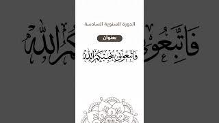 قريبا دورة كبار الطلاب بحلقات التعليم بتريم