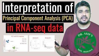 Interpretation of Principal component analysis (PCA) in RNA seq