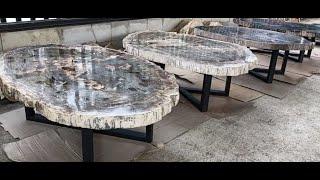 Petrified Wood Slab Side Table