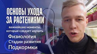 Что нужно знать перед тем, как начать выращивать растения?