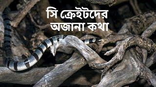 চলুন পরিচয় করি এক সি ক্রেটের সঙ্গে