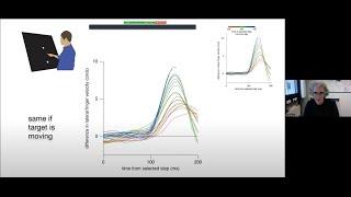 Prof Eli Brenner on "Continuous guidance of human goal-directed movements"