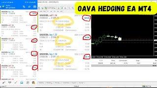 Oava Hedging EA MT4 V2.5 | Category : MT4 EA | Best working EA