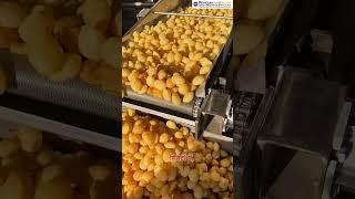 Mini Fryer Machine | Golgappa Fryer Machine | Panipuri Fryer Machine | Fryer Machine #shortsfeed