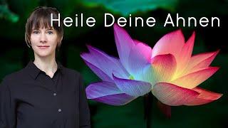 Heile deine Ahnen I Starke Wurzeln I Auflösung von Schuld+Scham I Meditation und Energieübertragung