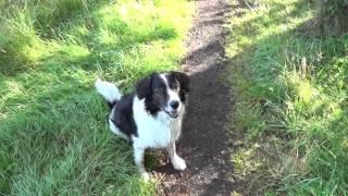 Newbigging walk, Methven, Perthshire.