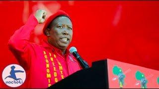 Julius Malema's We Need a United States of Africa Speech