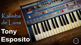 Tony Esposito  Kalimba de Luna ~ Vintage Synthesizer Recreation ~ RetroSound