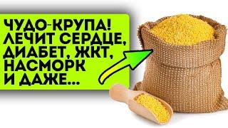Наши прабабушки знали! Пшенная каша не только вкусная, но и вылечит кучу болезней!