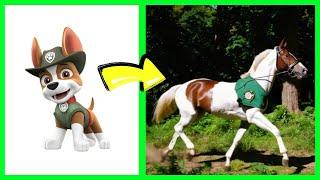 Magic Puppy Horses!  PAW Patrol Songs