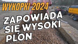 Wykopki 2024. Sypiemy ziemniaki w kopiec.