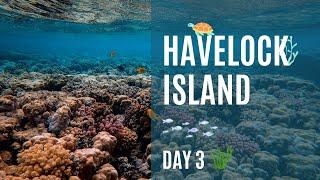 Havelock Island | Andaman and Nicobar Islands | Day 3