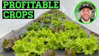 WHAT CROPS TO GROW TO BE PROFITABLE IN A SMALL SCALE MARKET GARDEN