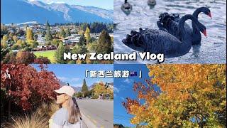 New Zealand Travel Vlog  新西兰 Vlog | EP. 1 ｜Queenstown 皇后镇，Road Trip to Te Anau