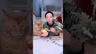 картофельная скьяччата к новогоднему столу #рецепты #еда #готовка #готовимдома #рецепт #cooking