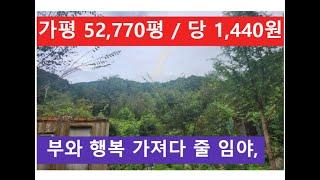 가평 52,770평 / 1,440원 (부와 행복 가져다 줄 임야)