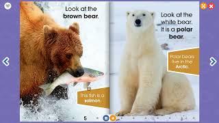 All About Bears on Anywhere Teacher - Early Reading Book and Comprehension Questions