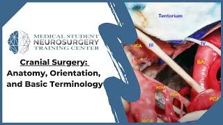 Cranial Surgery: Anatomy, Orientation, and Basic Terminology