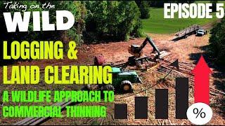 "Logging & Clearing Land" (A Wildlife Approach to Commercial Thinning)