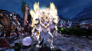 GW2 | Fashion War In Amnoon!