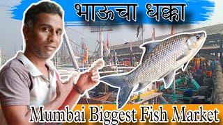 Mumbai Biggest Fish Market/ भाऊचा धक्का/ Auction/ Wholesale #fish