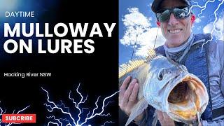 JEW AT MIDDAY - SOFT PLASTICS