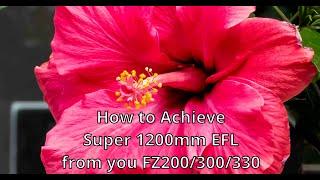 How to Achieve Super 1200mm EFL From your FZ200/300/330 Camera