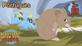 Outro mundo sob a neve [episódios completos] Aventuras com os Kratts