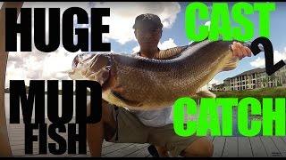 Quick Clip Huge Bowfin Mudfish on Missile Baits DBomb