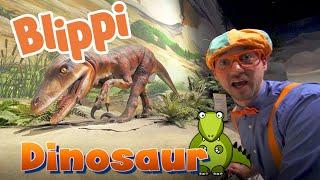 Learning At The Science Centre With Blippi | Science Videos For Kids