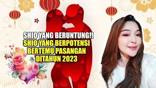 Shio Tikus Dapat Bertemu Jodoh? Ini Alasannya | Shio Tikus Bisa Bertemu Jodoh Ditahun 2023?