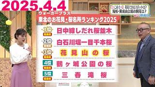 【福島には行ってみたい桜の名所がいっぱい！花見山公園を深堀り】福テレ空ネット（2025年4月4日放送)