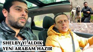 ARABAM HAZIR VE ONCA YOLU SHELBY Yİ ALMAYA GİTTİK GÜZEL BİR VLOG​⁠@oyunkusuonder1296