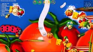 Worms Zone Magic Slither Snake - fruit and vegetables grow - Xmood Roy