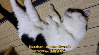 Nacchan down／なっちゃんダウンする