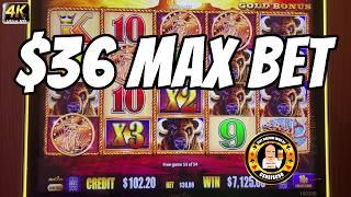 $36 MAX BET JACKPOT HAND PAY on Buffalo Gold MUST SEE!