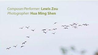 Fly - Lewis Zou (Original Composition)