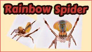 Rainbow Spider: A Small but Brilliant Creature - Erudite Octopus