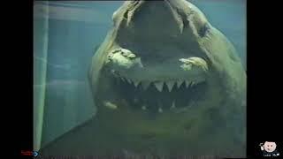 Rosie the Shark - Home video from 2000