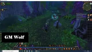 Die Heilige Flamme | The Sacred Flame | World of Warcraft Classic | HD