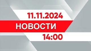 Выпуск новостей 14:00 от 11.11.2024