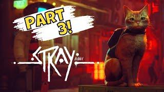 Gameplay of STRAY (A Cat Video Game) *PART 3*