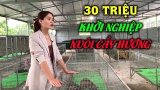 Khởi Nghiệp Nuôi Cầy Hương Cần Bao Nhiêu Tiền